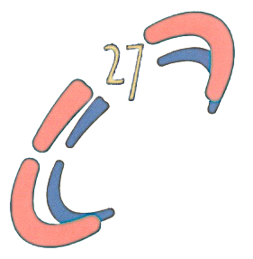 НПП САЛЮТ-27